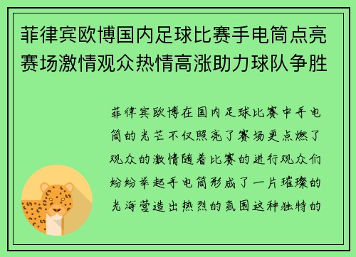 菲律宾欧博国内足球比赛手电筒点亮赛场激情观众热情高涨助力球队争胜